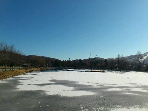 矢ヶ崎公園の池