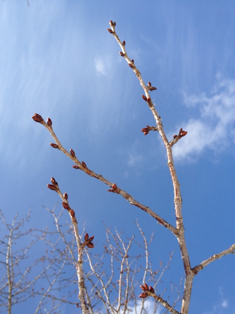 20120303-143833.jpg