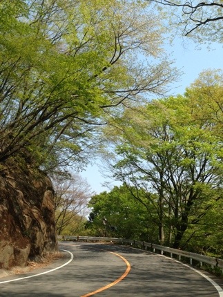20130505-221221.jpg