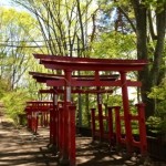 20130512-211117.jpg