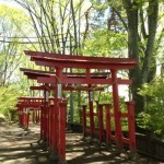 20130512-211420.jpg