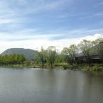 20130520-204621.jpg