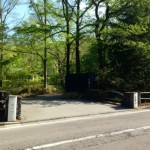 20130523-222625.jpg