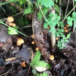 20130909-210214.jpg