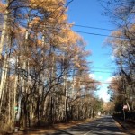 20131119-213550.jpg