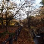 20131128-212214.jpg