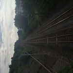 IMG_2560
